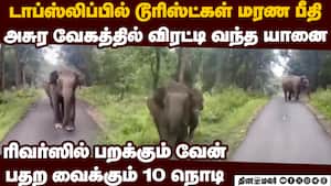 சீறிய யானை... பின்னோக்கி பறந்த வேன்... பதறவைத்த காட்சி topslip ride  