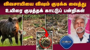 மாவட்ட செய்திகள் மாலை 4 மணி  