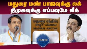 மாவட்ட செய்திகள்  