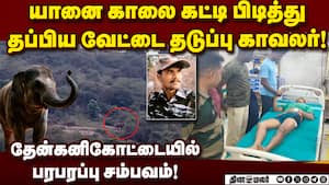 யானையிடம் சிக்கிய வேட்டை தடுப்பு காவலர் உயிர் தப்பிய அதிசயம்! Elephant Attack  