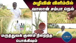 மாவட்ட செய்திகள்  