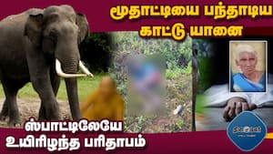 ஒற்றைக்கொம்பன் காட்டு யானை விரட்டக்கோரி மறியல் போராட்டம்