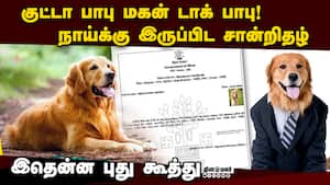 கோல்டன் ரெட்ரீவர் நாய் போட்டோவுடன் இருப்பிட சான்றிதழ்  