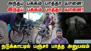 அந்தப் பக்கம் பாத்தா யானை! இந்தப் பக்கம் பாத்தா யானை! நடுக்காட்டில் பஞ்சர் பாத்த அனுபவம்