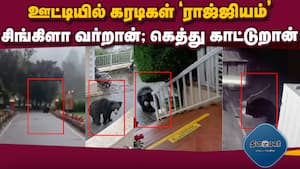 கரடிகள் பல விதம் ஒவ்வொன்றும் ஒரு விதம்  
