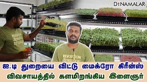 ஐ.டி துறையை விட்டு மைக்ரோ கிரீன்ஸ் விவசாயத்தில் களமிறங்கிய இளைஞர்