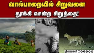 சிறுத்தை தாக்கி 8 வயது சிறுவனுக்கு சோக சம்பவம்  