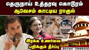 தெருநாய் நலன் காக்க ராகுல் சொல்லும் யோசனை rahul gandhi supreme court street dogs must be shifted