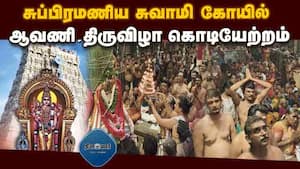 மாவட்ட செய்திகள் மாலை 4 மணி   