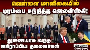 கடைசி முயற்சியாக ஜெலன்ஸ்கி - புடின் சந்திப்புக்கு ஏற்பாடு  