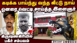 நாய் கடிக்க பாய்ந்ததால் எஜமானை தீர்த்து கட்டிய வாலிபர்  