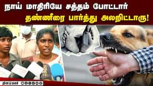 லேசா நாய் கடிச்சாலும் அலட்சியம் வேண்டாம்: சேலத்தில் பகீர்  