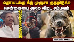 வெறியில் பாய்ந்த பிட்புல் நாய்: ஒருவர் மரணம்  