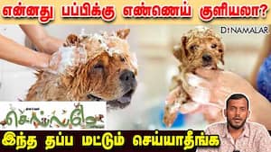 என்னது பப்பிக்கு எண்ணெய் குளியலா? இந்த தப்ப மட்டும் செய்யாதீங்க