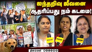 தெருநாய்கள் நல்வாழ்வுக்கு ஐடியா தரும் விலங்கு நல ஆர்வலர்கள்! Dogs in Public  
