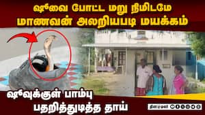 ஷூவுக்குள் இருந்த பாம்பு: மாணவன் காலை கடித்தது  