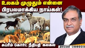 தெருநாய் வழக்கின் தீர்ப்பால் நாய்களும் வாழ்த்துவதாக நீதிபதி பேச்சு