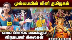 காடு முதல் ரோடு வரை ! வித வித தோற்றத்தில் அருள்புரியும் விநாயகர்  