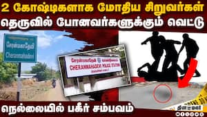 முதியவர்களையும் விட்டு வைக்காத விடலை கும்பல்: கிராமத்தில் பீதி  