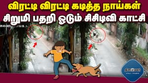 மாவட்ட செய்திகள் மாலை 4 மணி   