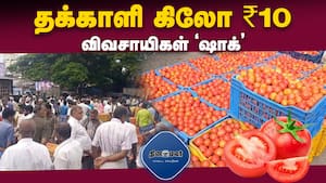 மாவட்ட செய்திகள்  