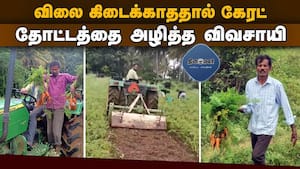 மாவட்ட செய்திகள் மாலை 4 மணி  