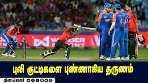 புலி குட்டிகளை புண்ணாகிய தருணம்