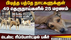 கோவையில் ரேபிஸ் வைரஸ் அவுட் பிரேக்? வெளியான அதிர்ச்சி தகவல்  