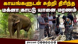 இரு மாநில வனத்துறை கண்காணித்தும் பலனில்லை!  