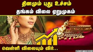தங்கம் விலை வரலாறு காணாத உயர்வு: சவரன் ரூ. 95 ஆயிரத்தை நெருங்கியது Gold Price Hike 