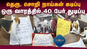 மாவட்ட செய்திகள்  