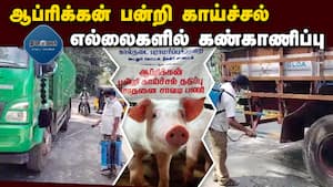 மாவட்ட செய்திகள்  