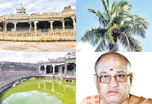 'எங்கெங்கு காணினும் நாகமடா': நாக சிலைகளால் நிரம்பி வழியும் கோயில்