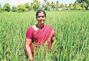 வயலில் ஒரு கால்; வகுப்பறையில் மறுகால்:  சாகுபடியில் சாதிக்கும் ஆசிரியை