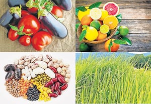 உயிரின் தூரிகை: எந்தக் குடும்பம்?