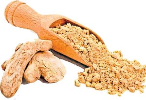 நம்மிடமே இருக்கு மருந்து: சுக்கு!