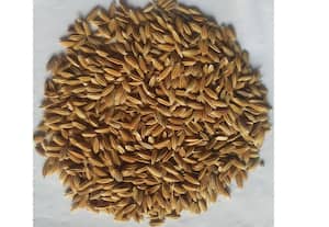 செம்மண் நிலத்திலும் குள்ளக்கார் நெல் சாகுபடி