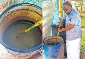 வாடல் நோய்க்கு விருக் ஷ ஆயுர்வேத சிகிச்சை