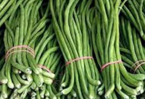 இருவித வருவாய்க்கு காராமணி சாகுபடி