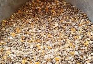 முட்டை இடும் வாத்துகளுக்கு கலவை தீவனம் அவசியம் 