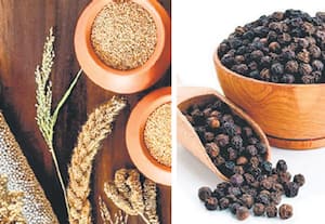விவசாய மலர்: எங்கு... என்ன...