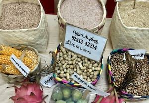 செம்பழுப்பு நிற கல்லுருண்டை அரிசி