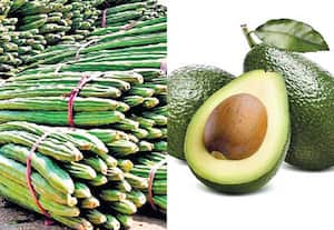 விவசாய மலர்: எங்கு... என்ன...