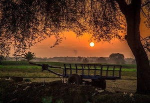 பேரொளியின் கனல் மொழி