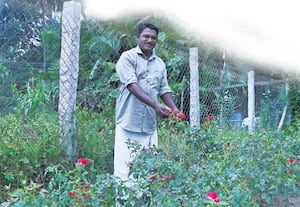 நிலமும் நானும்