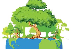 மார்ச் 21 - உலக வன தினம்!