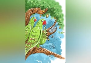 சிலந்திக்கூடு!