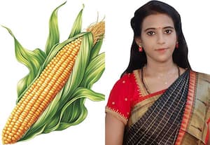 சிறுநீரக கற்களை வெளியேற்றும் கார்ன் சில்க்!