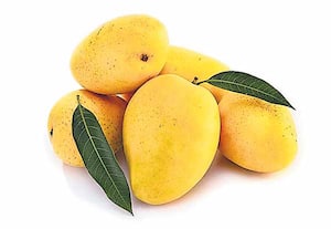 விவசாய மலர்: எங்கு... என்ன...