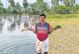 நிலமும் நானும்